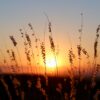 Radio Rheinland am Abend